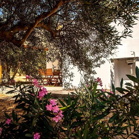 Flamingo Colour Valey House Villa Palekastro Dış mekan fotoğraf